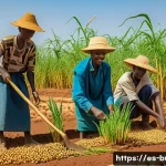 부르키나파소의 농업 및 주요 작물 - A rural Burkina Faso farming scene during the dry season, showing a group of farmers wearing traditi...